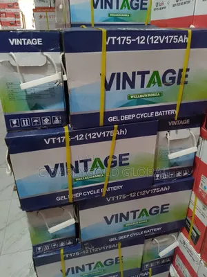 Vintage 175a Gel Deep Cycle Battery