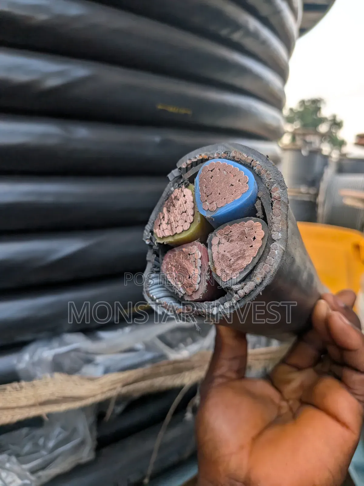 Armored Cable Niger Chin