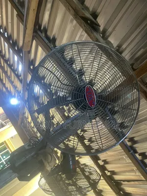 Ox Wall Fan