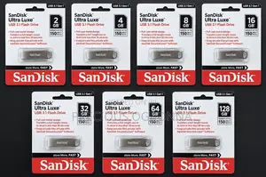 San Disk Ultra Luxe Flash Drive