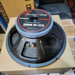 Greatest Power 2500watts 15 Inches Necked Speaker