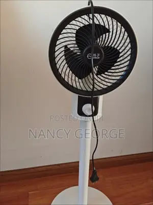 Electric Fan