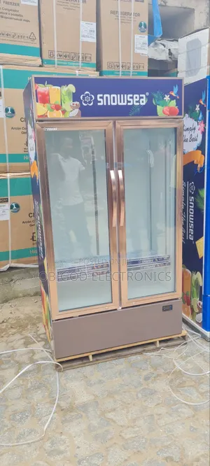 Snowsea Chiller Double Door
