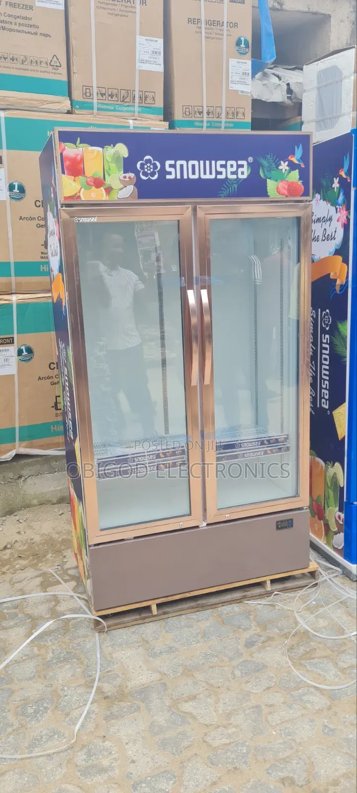 Snowsea Chiller Double Door