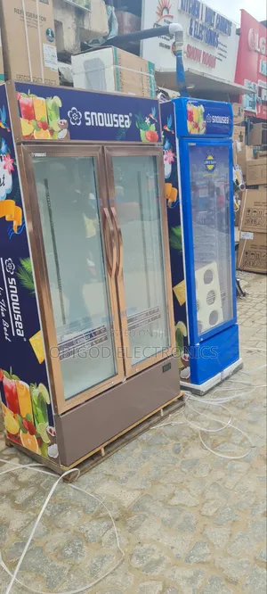 Snowsea Chiller Double Door