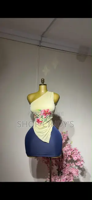 Mesh Tube Dress