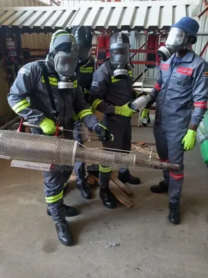 Fumigation Service