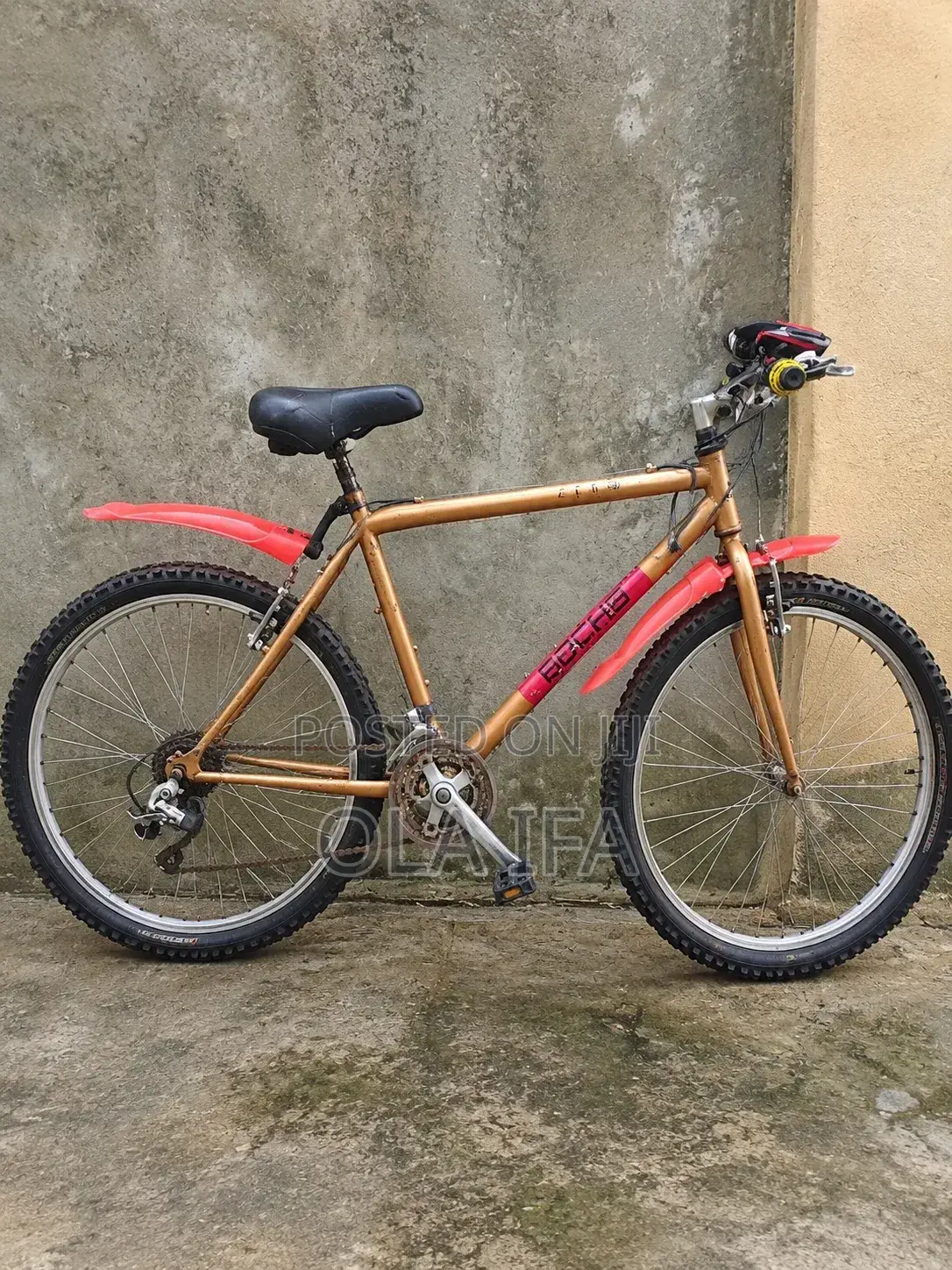 Adult Cruiser Bicycle