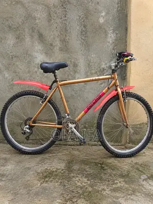 Adult Cruiser Bicycle