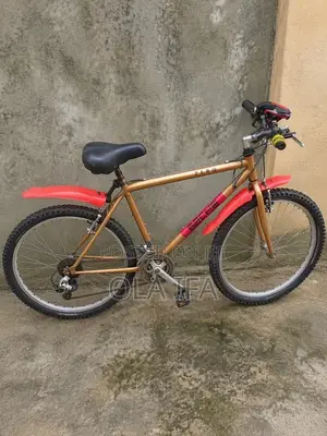 Adult Cruiser Bicycle