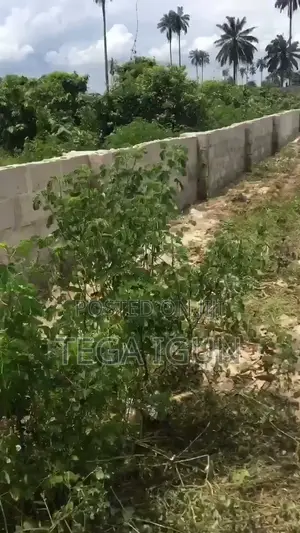 Fast Developing Residential and Commercial Land in Eneka