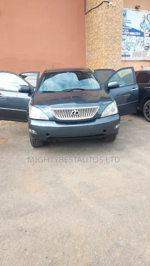 Lexus RX 330 2006 Gray