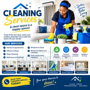 Ice Cleaning Services