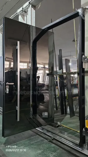 Entrance Pivot Doors
