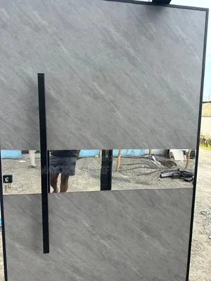 Entrance Pivot Doors