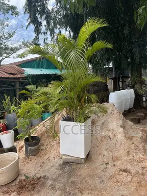 Flower Pot ( Only) Available for Sale