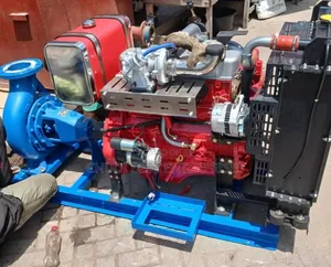 Big Engine Water Pump