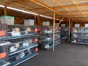 Rabbit Cage System With Feeders Drinkers