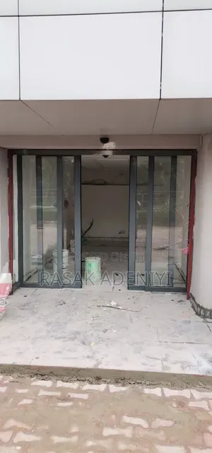 Automatic Censors Door