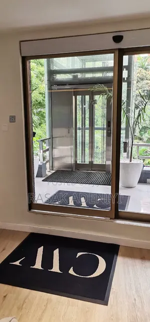 Automatic Censors Door