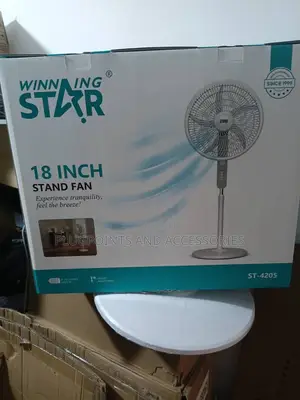 Winning Star Electric Stand Fan