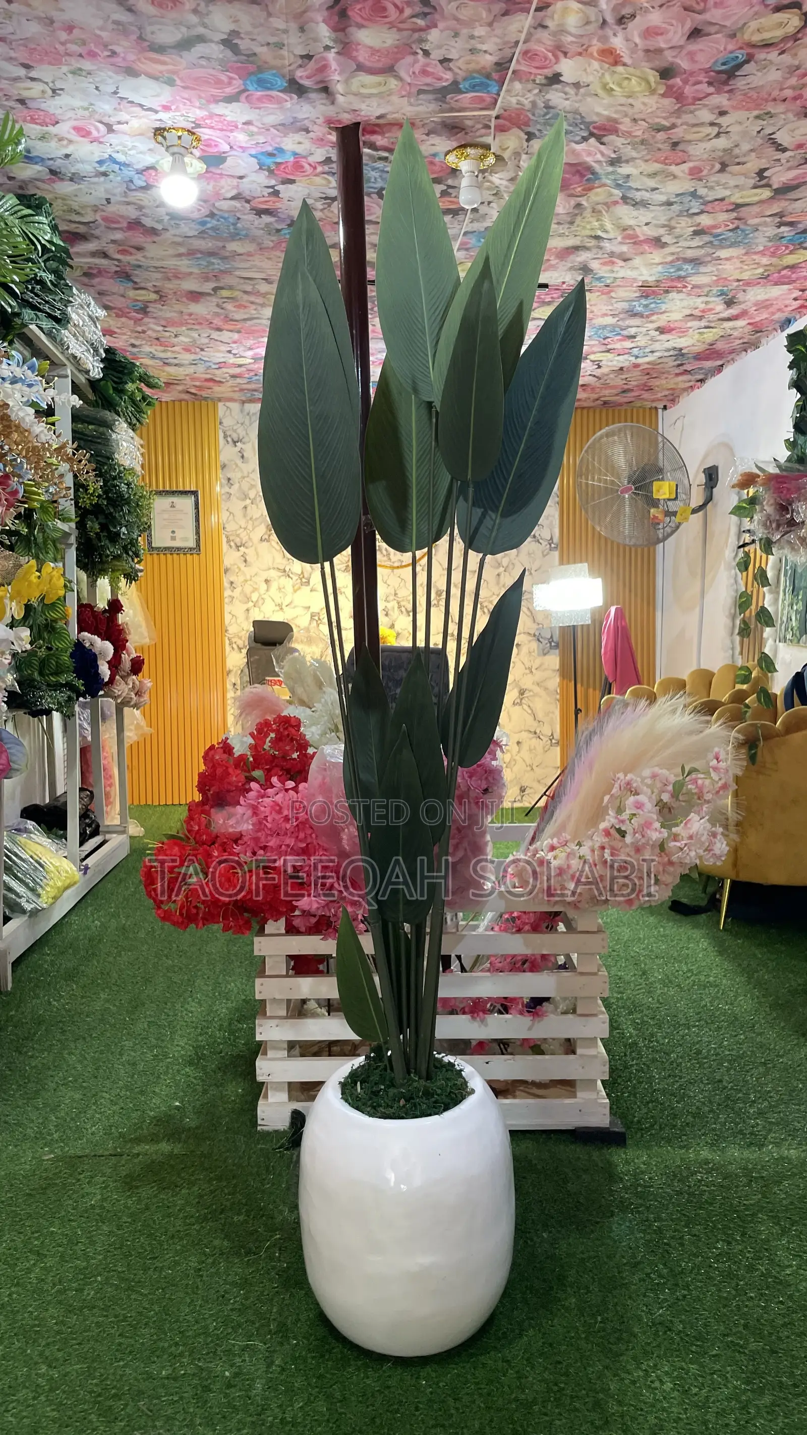 Decoration