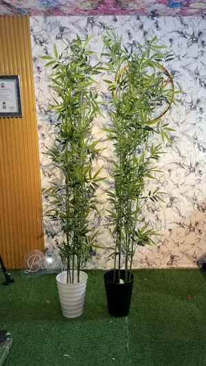 Decoration