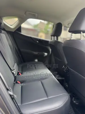 Lexus NX 250 2025 Gray
