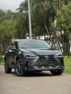 Lexus NX 250 2025 Gray