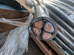 Original Single Core Armored Cable Niger Chin