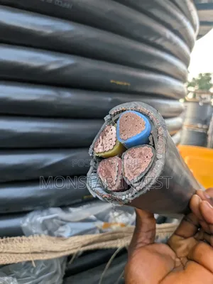 4core Armored Cable Niger Chin