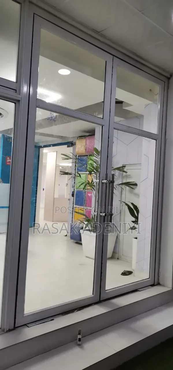 EBM Swing Door