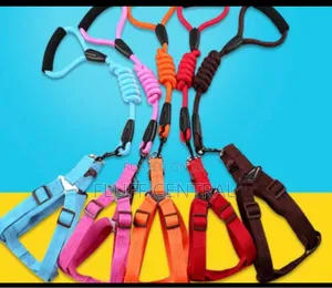 Foam Handle Nylon Harness N Lead Set for Medium/Semi Large Dog(XL)