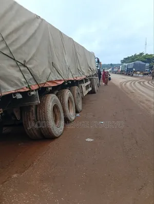 Both Dangote and Bua Cement Are Available for Sale