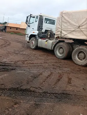 Seller of Dangote and Bua Cement