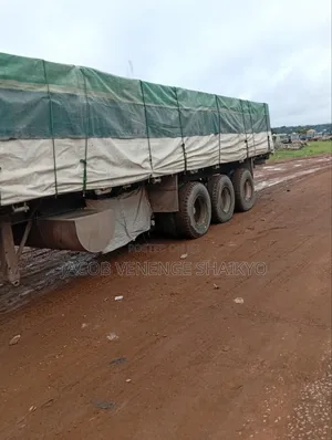 Larger Distributor of Dangote and Bua Cement