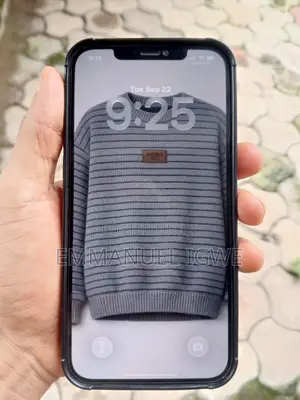 Apple iPhone 12 Pro Max 256 GB Gray