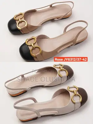 Low Heel Shoe