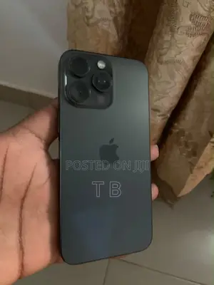 Apple iPhone 15 Pro Max 256 GB Gray