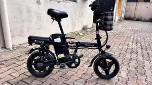 Electric Bicycle