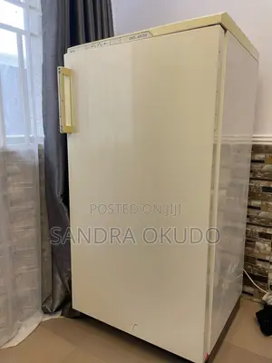 Oko-Arctis German-Made Freezer