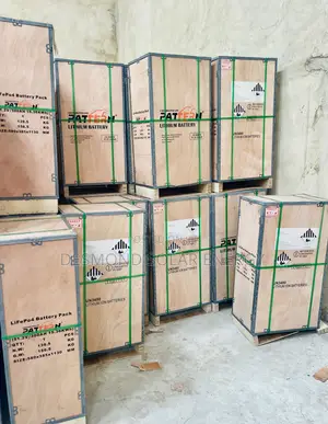 15kwh 51.2v Patten Lithium Batteries Very Strong and Very Good