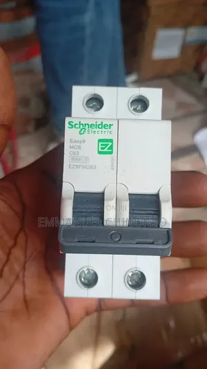 Original 63a 2pole Schneider Breaker