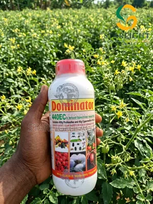 Dominator 1Ltr