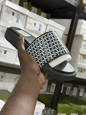 Cartoon Slides