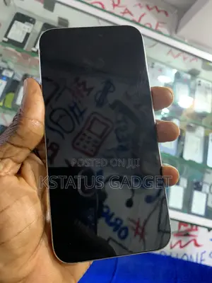 Apple iPhone 15 Pro Max 256 GB Gray