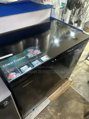 Hisense Freezer Model 250