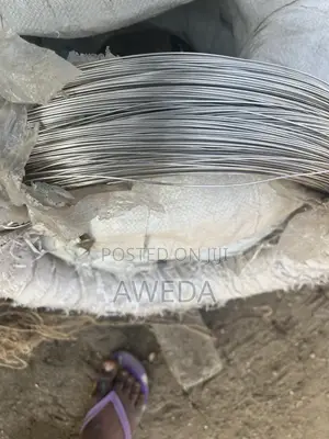 Stainless Straight Wire