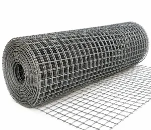 Crimped/Crippled Mesh