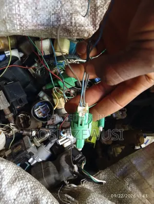 Brake Switch